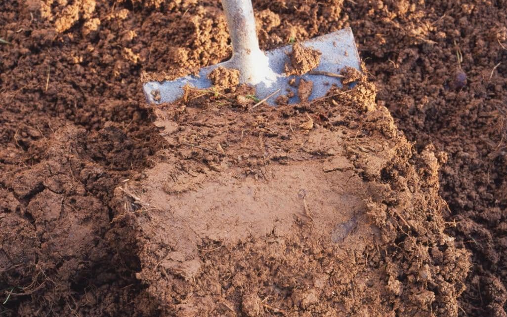 как улучшить состав почвы
